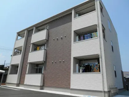 サンフラワーの画像