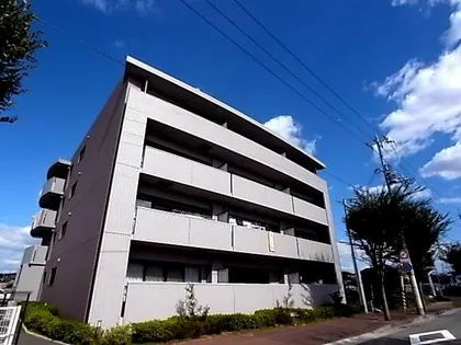 パインプロスの画像