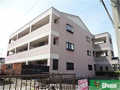 アムールの画像