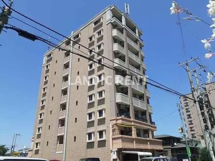 ルービアーレの画像