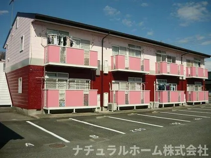 ニューシティリトルパインの画像