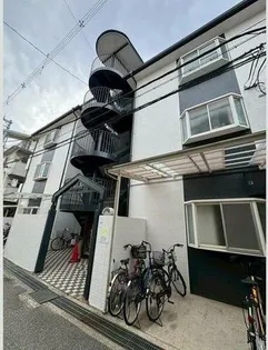 ゴールドクレストの画像