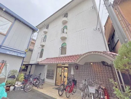 スターク緑の画像