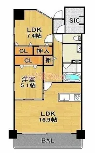 セレア日吉【801号室】の間取り