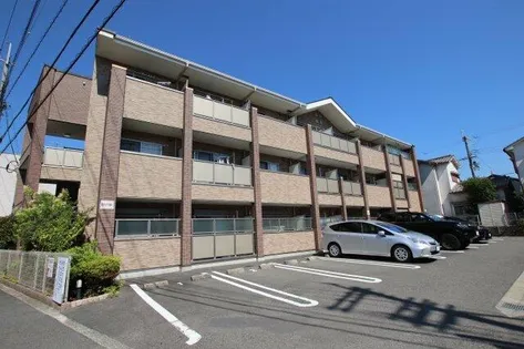 コーラル ガーデンの画像