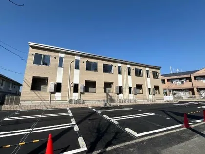 アーリー スプリングの画像