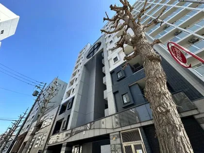 ノヴァクリスタルの画像