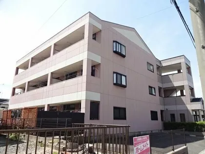 アムールの画像