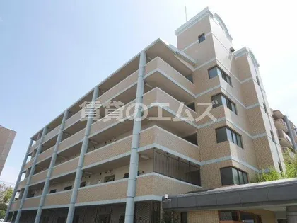 ビジネス ワン板付の画像