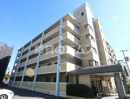 ビジネス ワン板付の画像