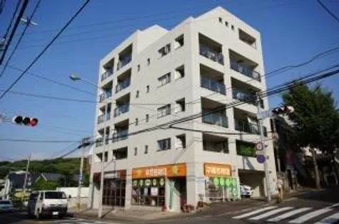 ラミナスコートの画像