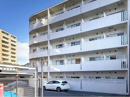 シーム ドエル筒井の画像