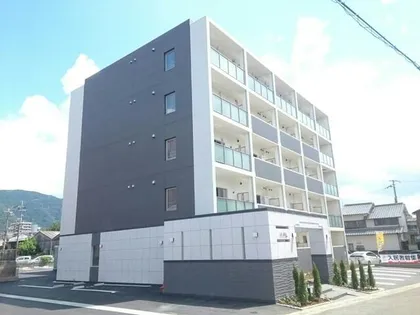 ラヴィータの画像