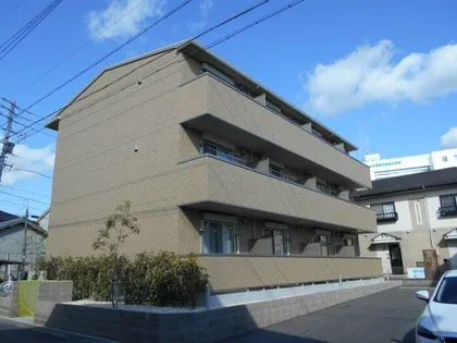 クローバーの画像