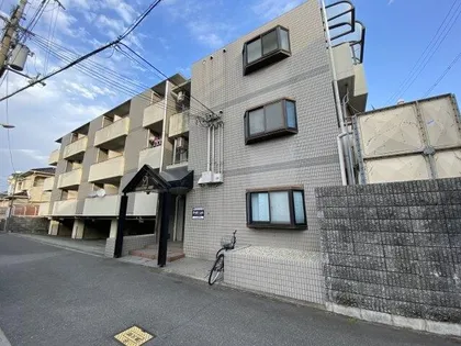 センチュリーアート21の画像