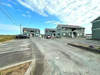 ビューラー野依Dの画像