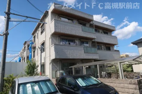 サニーコートティアラの画像