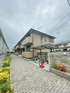 プリムローズの画像