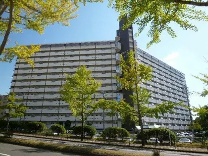 公社千里桃山台団地 Aー1棟の画像