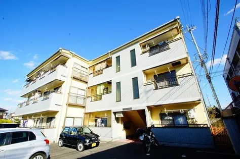 ステラカーサⅢの画像