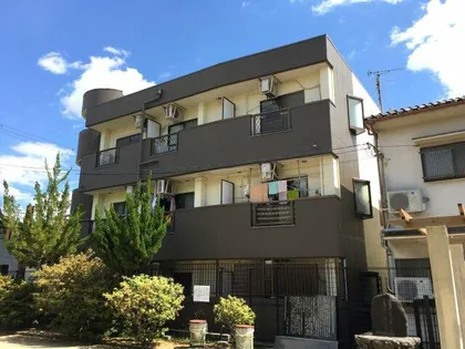 フルブルームの画像