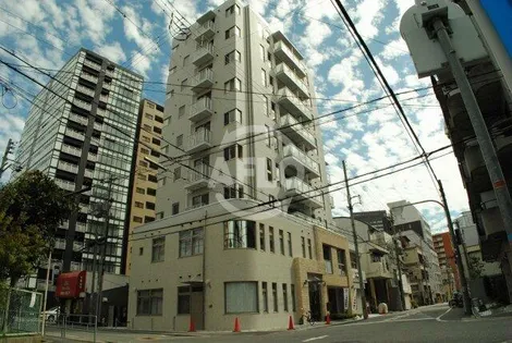 アースブルージュの画像