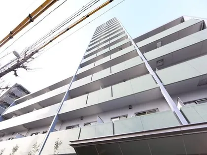 PLANDOOL NAKAMURAの画像