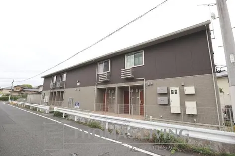 S ウィットますみの画像