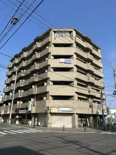 スカイハイム大喜の画像