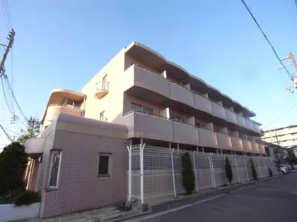 パインライトの画像