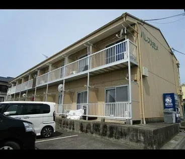 パレスカモメの画像