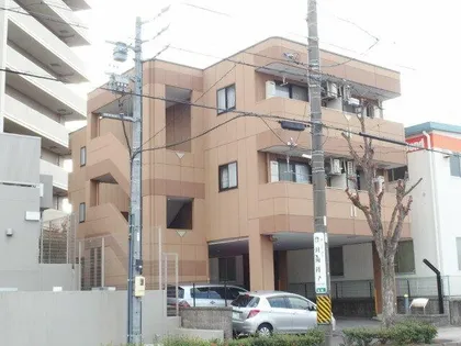 ハイムピラの画像