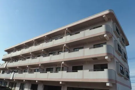 ジャンティの画像