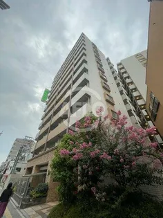 エクセレント上新15の画像