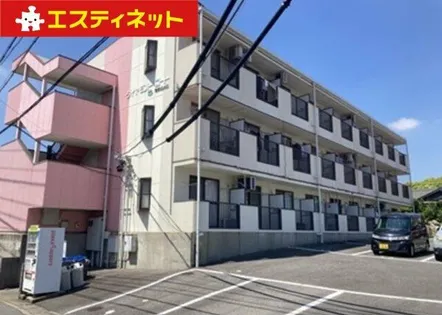 ダイヤモンドコートの画像