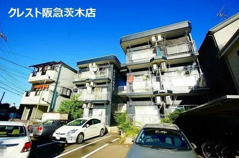 タイガーハウスの画像