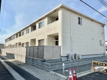 グリーン ドエルの画像