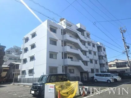 センチュリーコートの画像