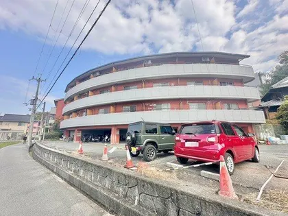 ボイスデムドンの画像