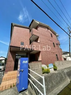 マジェスティコートの画像