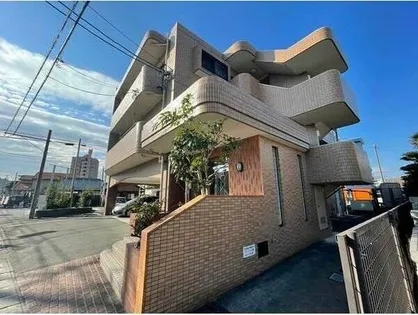 プリーマ千代鶴の画像