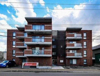 カトラン麻生の画像