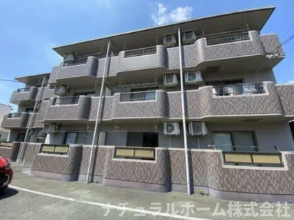 メゾン サンパティークの画像