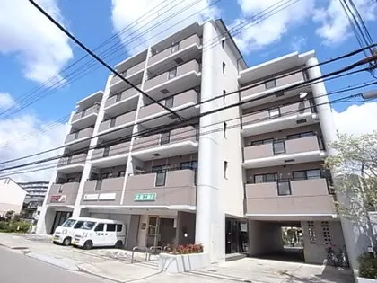 パレフルールの画像