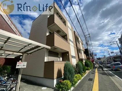 SAPHIR TOMOの画像