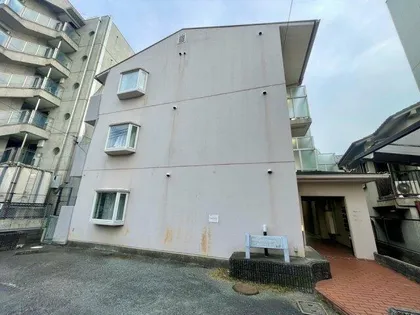 緑丘パイナスの画像