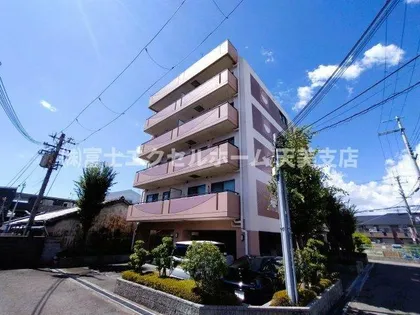 シャルマンエイトの画像