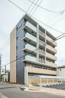 THE SEVENS'の画像