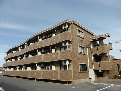 シンシアの画像