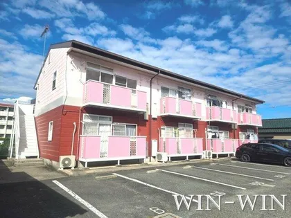 ニューシティリトルパイン【1階】の外観